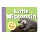 Little Wisconsin Riddle Book