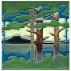 Landscape Mountain Pine Medium 6