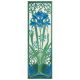 Amaryllis China Blue 4